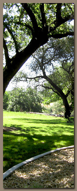 Saint Helena Cemetery grounds